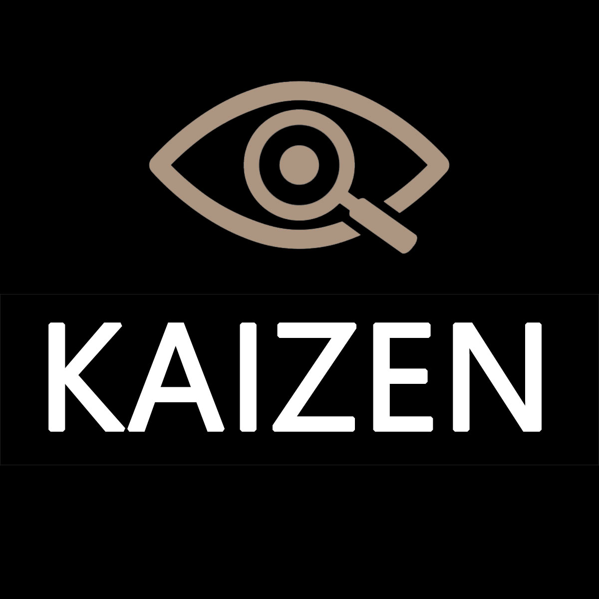 Biuro Detektywistyczne Kaizen