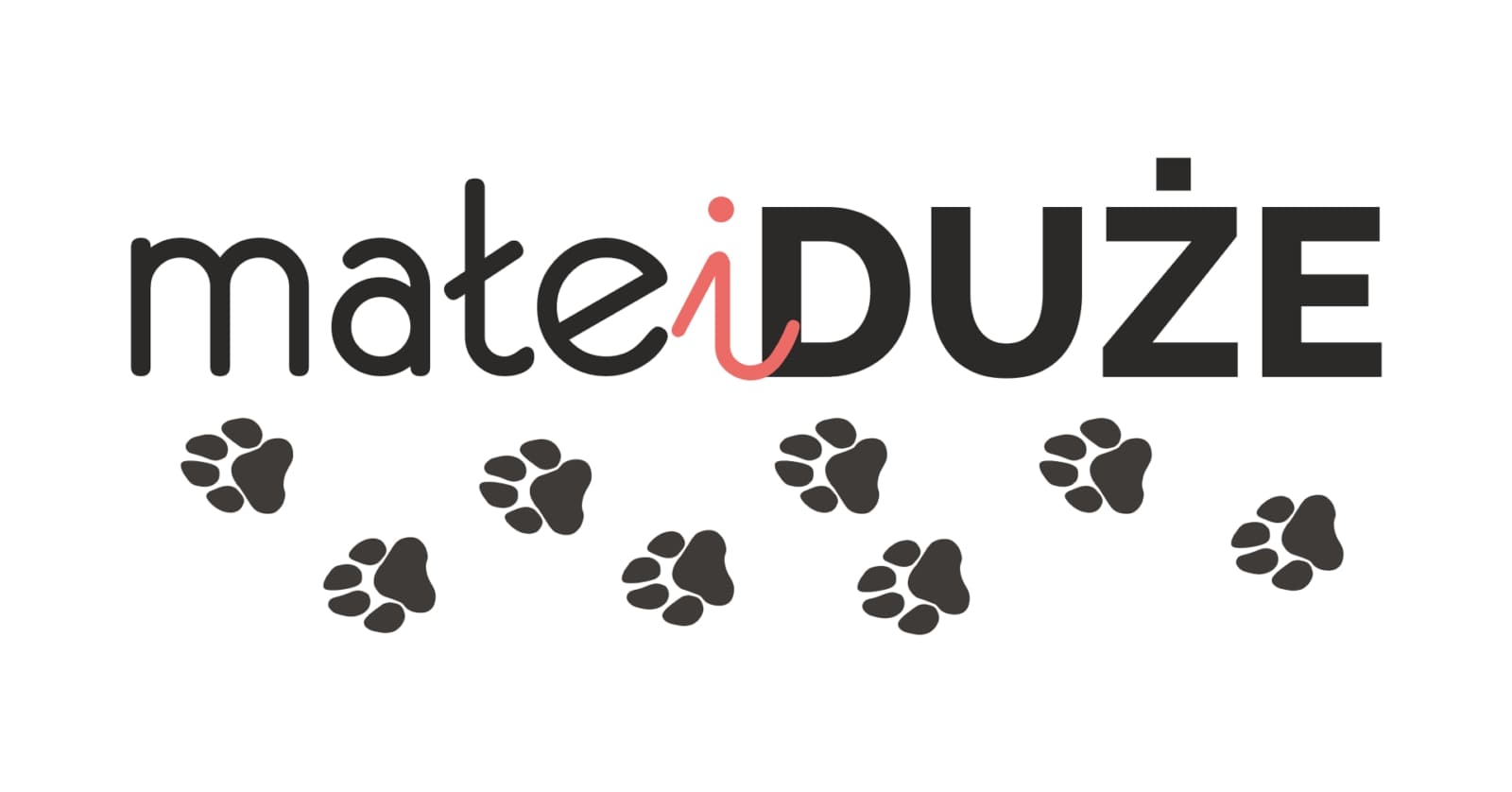 Małe i DUŻE - domowy hotel dla psów